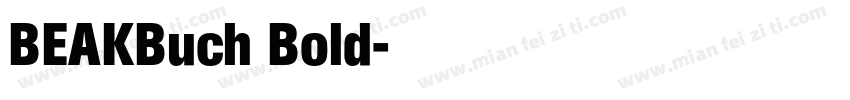 BEAKBuch Bold字体转换